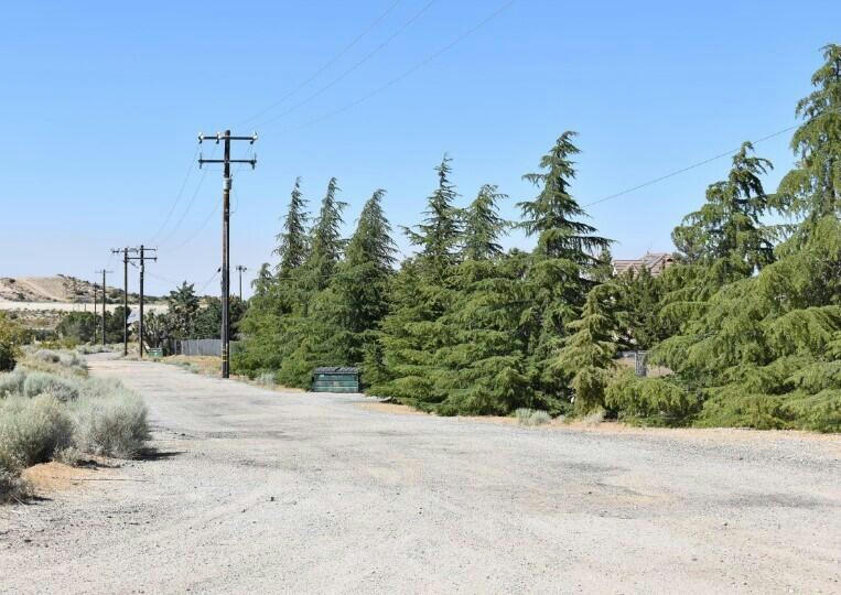 0 121ST E & AVE X 8, PEARBLOSSOM, CA 93553, photo 1 of 20